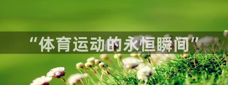 企鹅体育vip官方下载：“体育运动的永恒瞬间”
