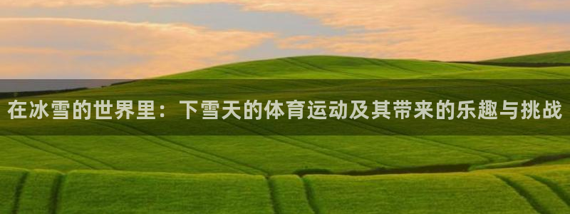 企鹅体育vip官方下载：在冰雪的世界里：下雪天的体育运动及其带来的乐趣与挑战