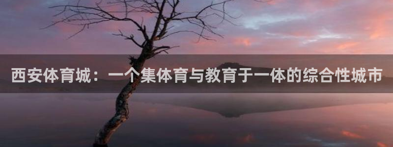 企鹅体育排球：西安体育城：一个集体育与教育于一体的综合性城市