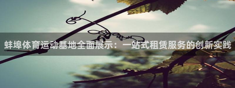 企鹅体育视频：蚌埠体育运动基地全面展示：一站式租赁服务的创新实践