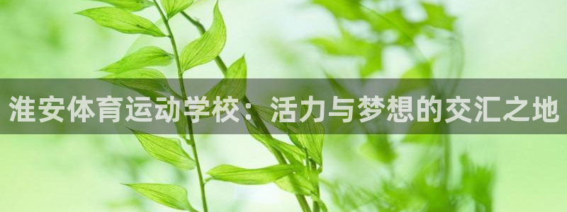 企鹅体育网：淮安体育运动学校：活力与梦想的交汇之地