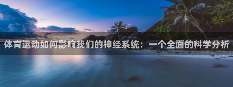 企鹅体育nba露娜：体育运动如何影响我们的神经系统：一个全面的科学分析