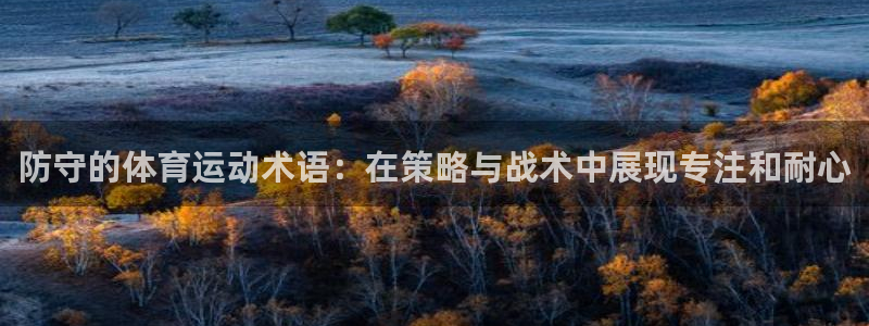 企鹅体育vip：防守的体育运动术语：在策略与战术中展现专注和耐心