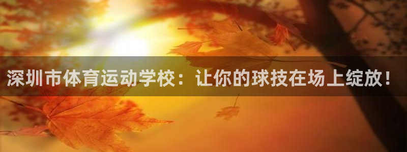 企鹅体育直播app下载安装：深圳市体育运动学校：让你的球技在场上绽放！